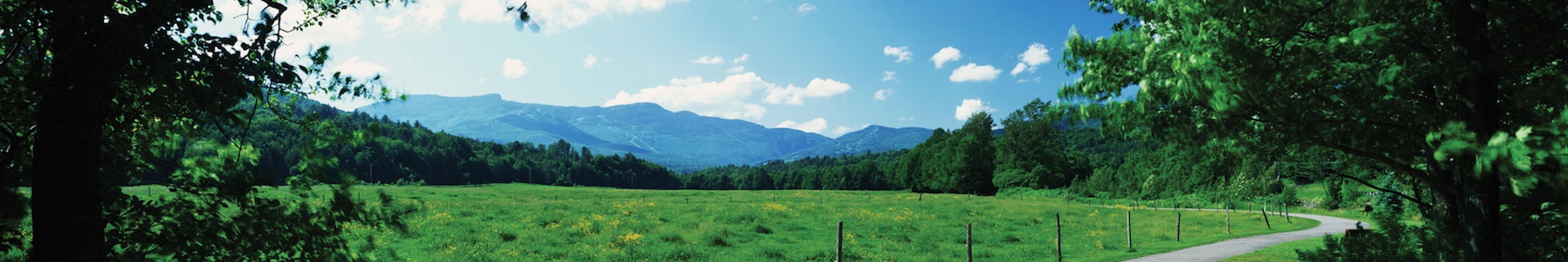 summer_header