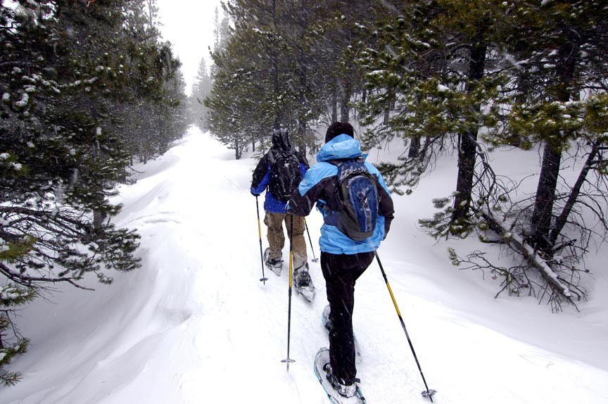 Record Breaking Snowfall in January