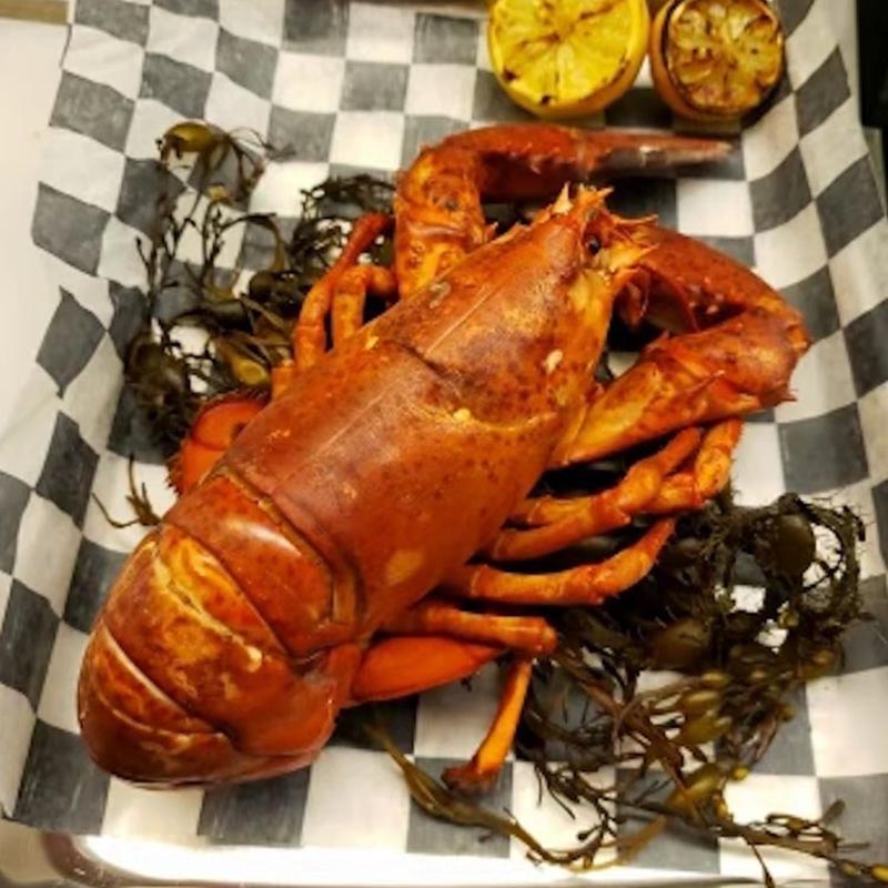 Lobster Lobster