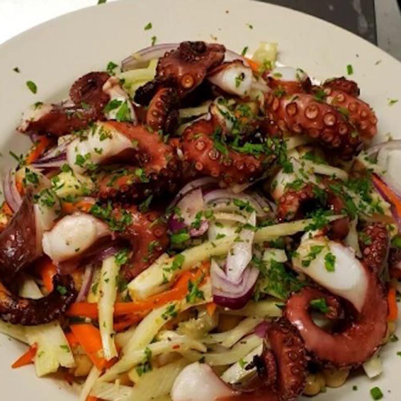 squid Squid